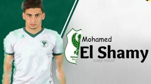 محمد الشامي