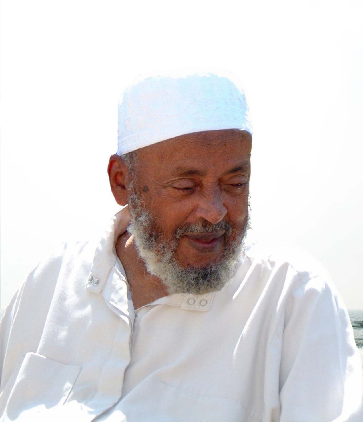 عبد الله الهرري