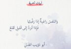 أبو ذؤيب الهذلي – قصة حياة الشاعر العربي المخضرم